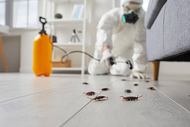 Commercial Kitchen Cockroach Control in Willowbrook